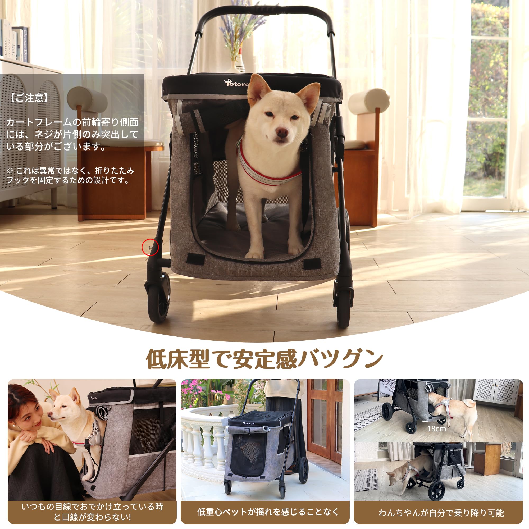 Amazon.co.jp: 【深めカゴ48cm・飛び出し防止】Totoro ball 中型犬用